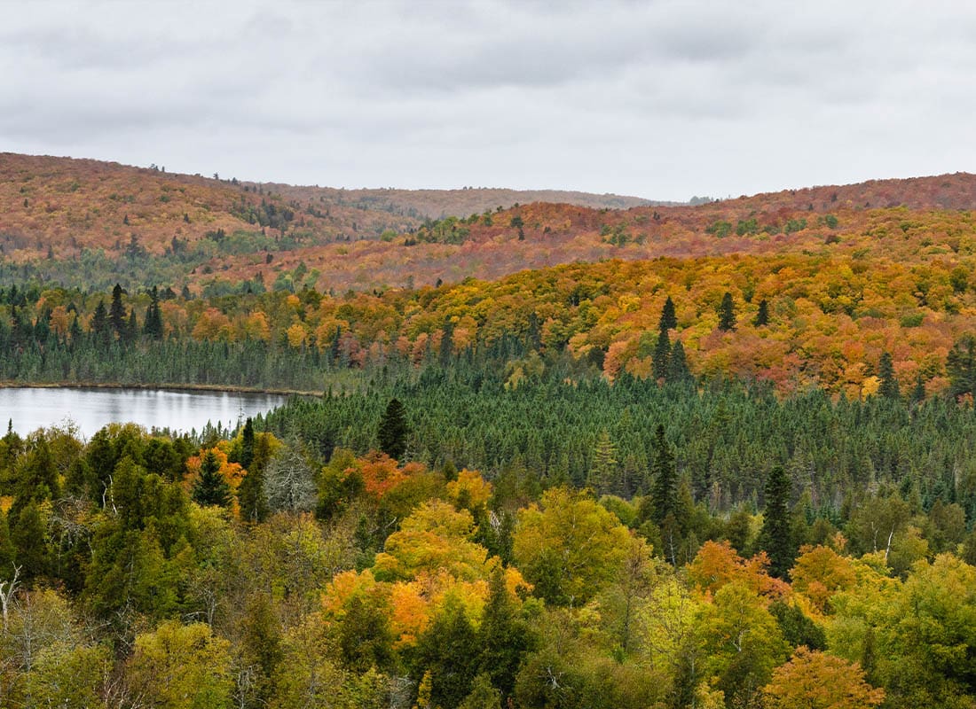 Buffalo, MN - Fall Foliage Panorama Landscape Oberg Mountain Minnesota