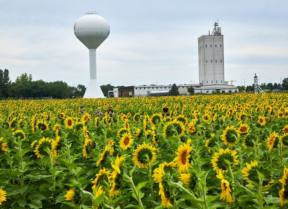 Wheaton, MN - Small Town USA on the Edge of a Gigantic Sunflower Field in the Middle of the Midwest